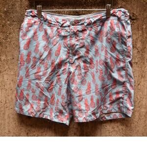 Bonobos Pineapple Print Swim Trunks Blue Red 7" Inseam Size 33